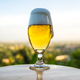 Illustration for article titled 29 Sudsy, Seductive Photos of Beer
